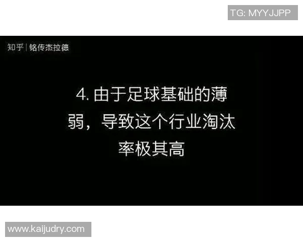中国足球协会改革与发展路径探讨：从管理机制到国际竞争力的提升