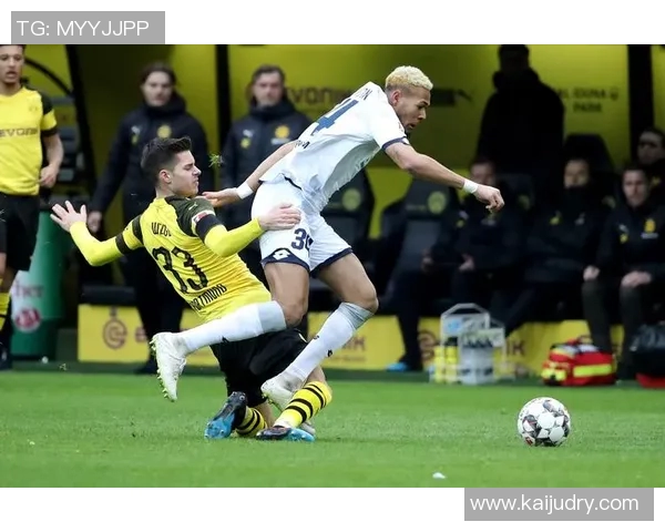 霍芬海姆对阵多特蒙德精彩在线直播全程回顾与分析