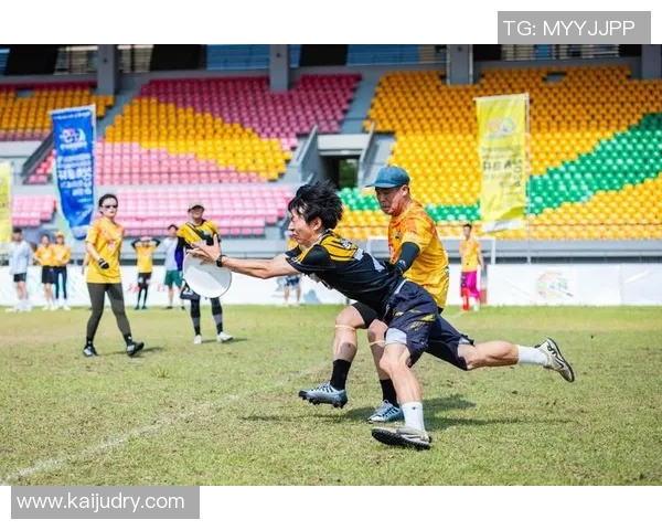 飞盘竞技新风潮杭州飞盘队实力解析与发展展望