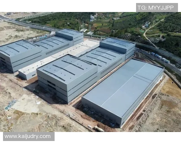 杭州飞盘队运营策略深度解析与发展前景展望