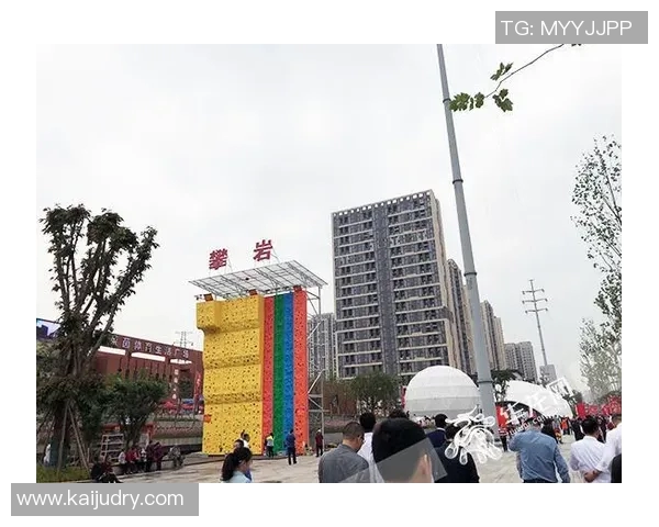 成都攀岩队区域防守体系的战术解析与实战应用研究